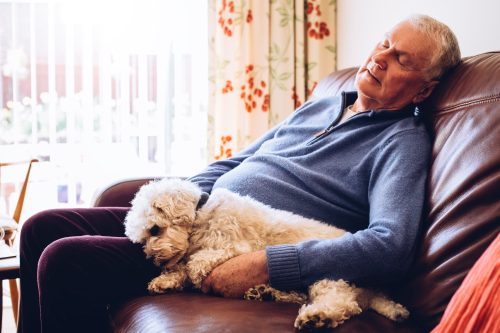 Old man sleeping with a dog