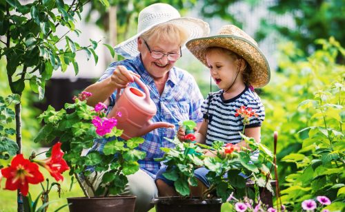 Gardening with a kids. Grandmother and her grandchild enjoying in the garden with flowers. Hobbies and leisure, lifestyle, family life