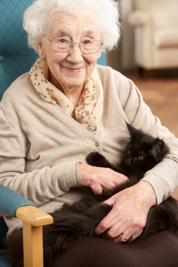 Old Lady with a black cat